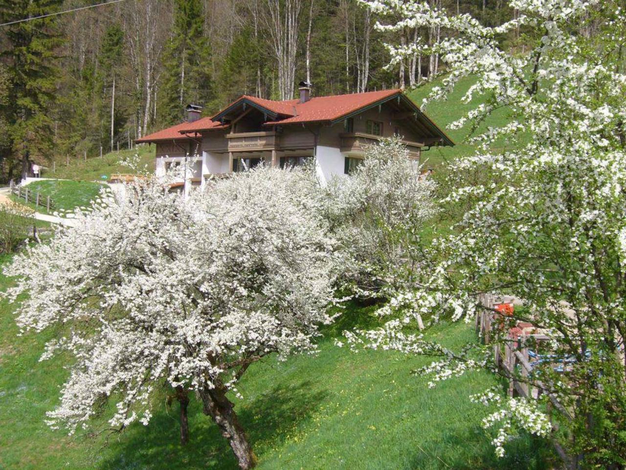 Haus Eicher Schneizlreuth Extérieur photo